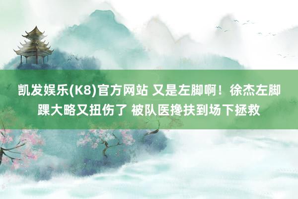 凯发娱乐(K8)官方网站 又是左脚啊！徐杰左脚踝大略又扭伤了 被队医搀扶到场下拯救