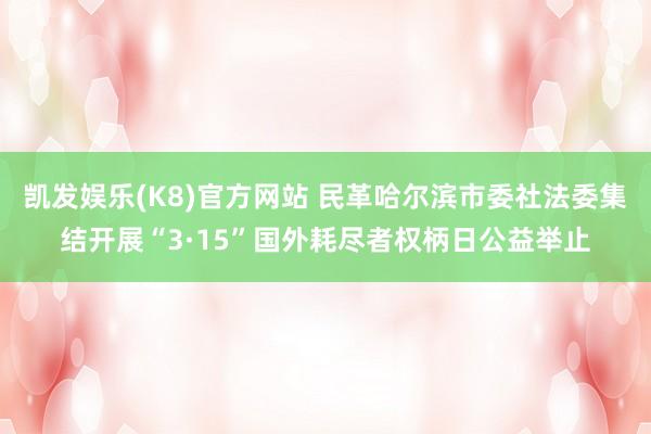 凯发娱乐(K8)官方网站 民革哈尔滨市委社法委集结开展“3·15”国外耗尽者权柄日公益举止