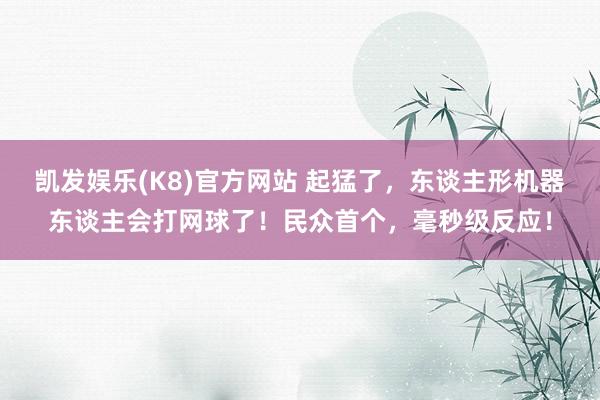 凯发娱乐(K8)官方网站 起猛了，东谈主形机器东谈主会打网球了！民众首个，毫秒级反应！