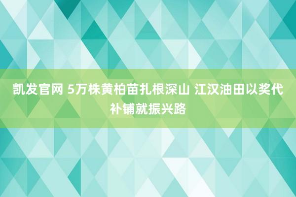 凯发官网 5万株黄柏苗扎根深山 江汉油田以奖代补铺就振兴路