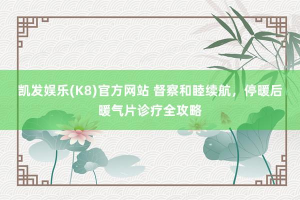 凯发娱乐(K8)官方网站 督察和睦续航，停暖后暖气片诊疗全攻略
