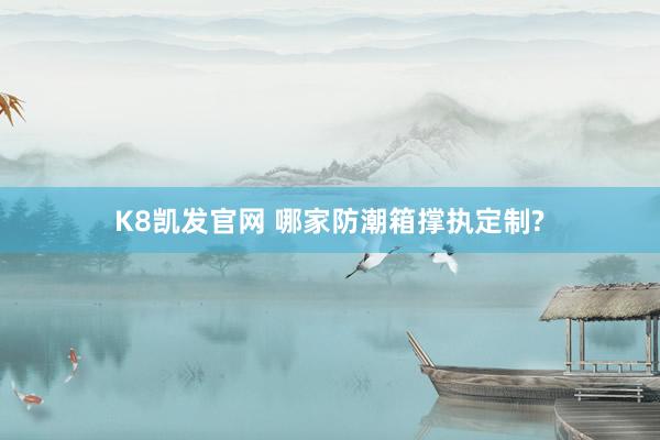 K8凯发官网 哪家防潮箱撑执定制?