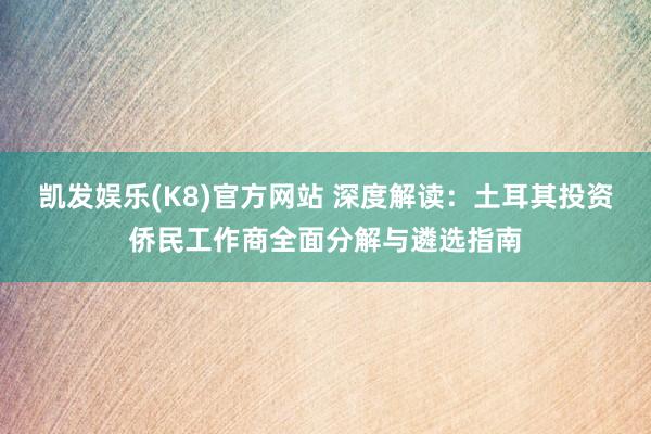 凯发娱乐(K8)官方网站 深度解读：土耳其投资侨民工作商全面分解与遴选指南