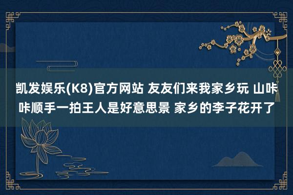 凯发娱乐(K8)官方网站 友友们来我家乡玩 山咔咔顺手一拍王人是好意思景 家乡的李子花开了