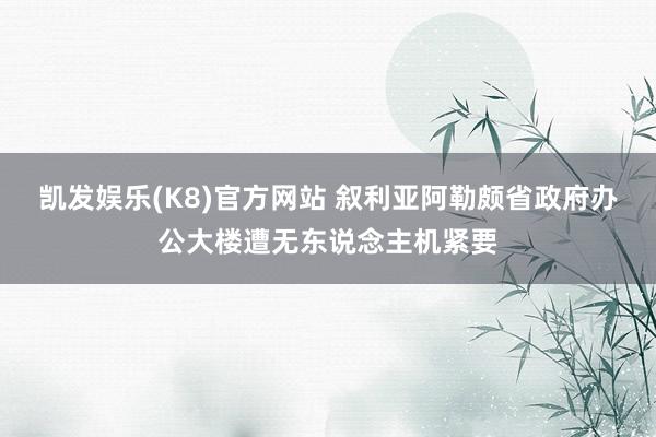凯发娱乐(K8)官方网站 叙利亚阿勒颇省政府办公大楼遭无东说念主机紧要