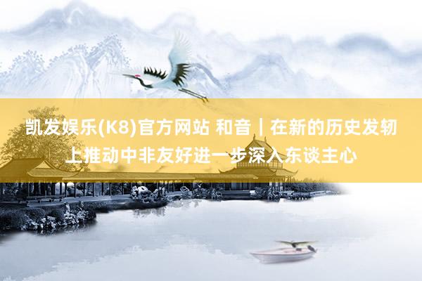 凯发娱乐(K8)官方网站 和音｜在新的历史发轫上推动中非友好进一步深入东谈主心
