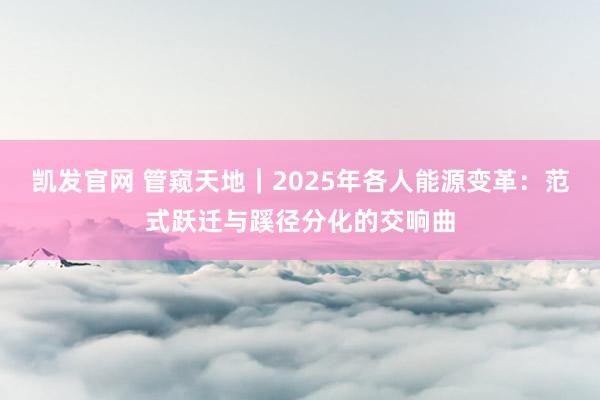 凯发官网 管窥天地｜2025年各人能源变革：范式跃迁与蹊径分化的交响曲