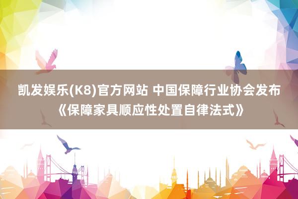 凯发娱乐(K8)官方网站 中国保障行业协会发布《保障家具顺应性处置自律法式》