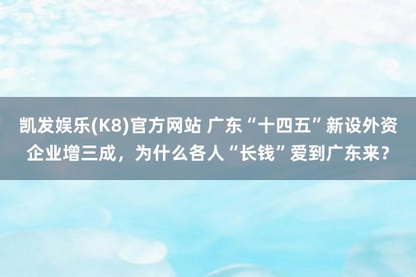 凯发娱乐(K8)官方网站 广东“十四五”新设外资企业增三成，为什么各人“长钱”爱到广东来？