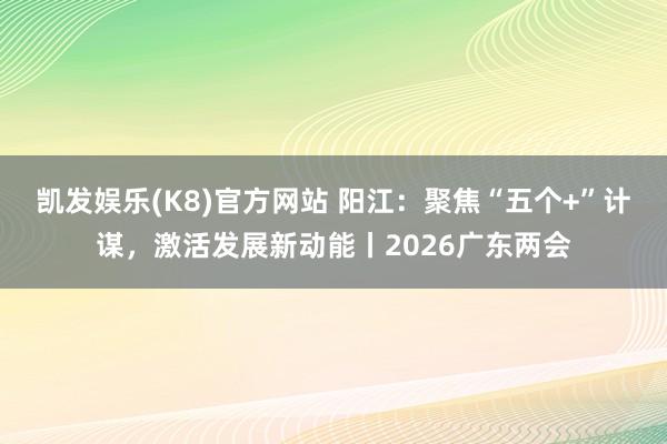 凯发娱乐(K8)官方网站 阳江：聚焦“五个+”计谋，激活发展新动能丨2026广东两会