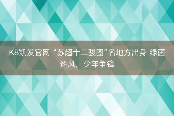 K8凯发官网 “苏超十二骏图”名地方出身 绿茵逐风，少年争锋
