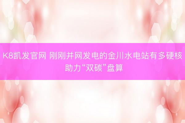 K8凯发官网 刚刚并网发电的金川水电站有多硬核 助力“双碳”盘算