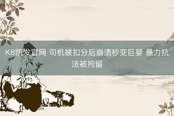 K8凯发官网 司机被扣分后崩溃秒变巨婴 暴力抗法被拘留