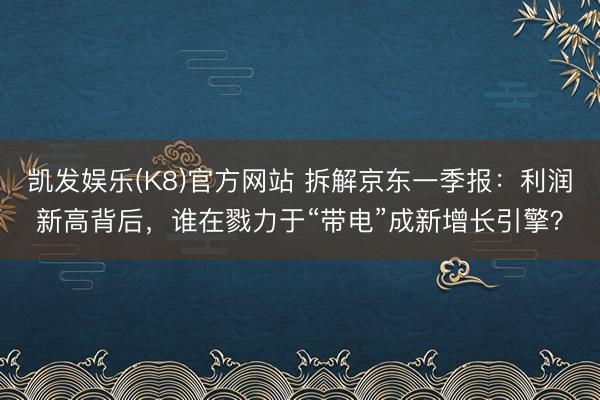 凯发娱乐(K8)官方网站 拆解京东一季报：利润新高背后，谁在戮力于“带电”成新增长引擎？