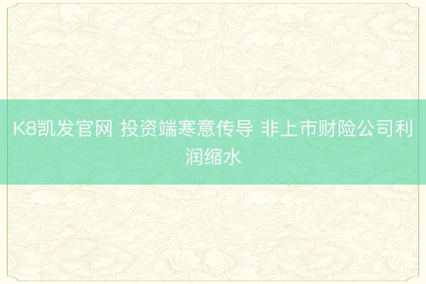 K8凯发官网 投资端寒意传导 非上市财险公司利润缩水