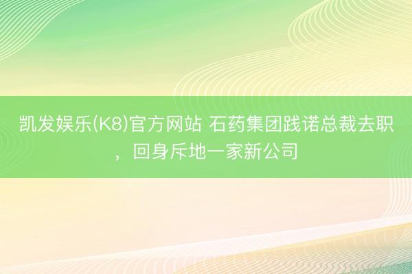 凯发娱乐(K8)官方网站 石药集团践诺总裁去职,回身斥地一家新公司
