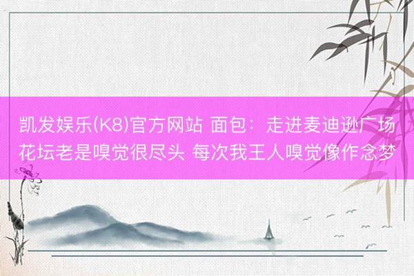 凯发娱乐(K8)官方网站 面包：走进麦迪逊广场花坛老是嗅觉很尽头 每次我王人嗅觉像作念梦