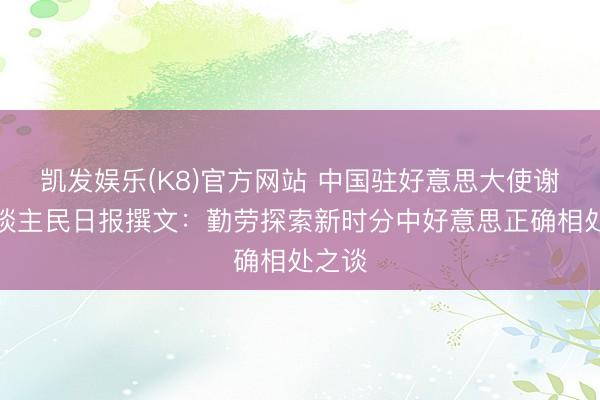 凯发娱乐(K8)官方网站 中国驻好意思大使谢锋东谈主民日报撰文：勤劳探索新时分中好意思正确相处之谈