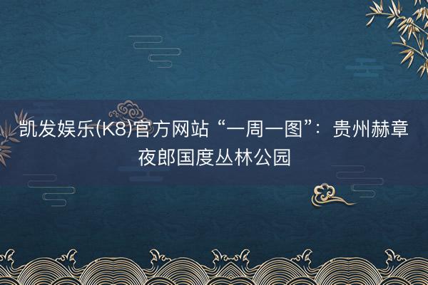凯发娱乐(K8)官方网站 “一周一图”：贵州赫章夜郎国度丛林公园
