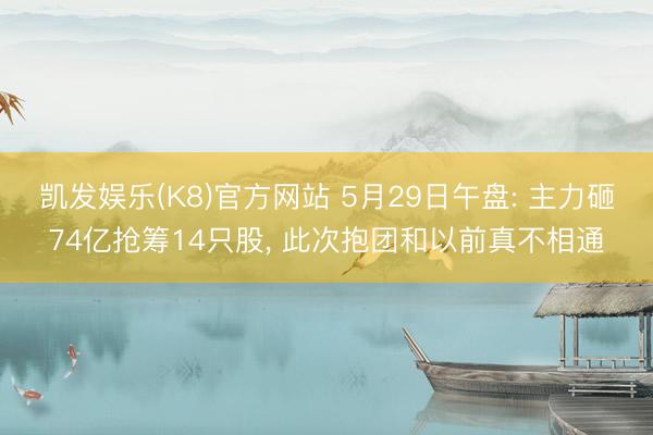 凯发娱乐(K8)官方网站 5月29日午盘: 主力砸74亿抢筹14只股， 此次抱团和以前真不相通