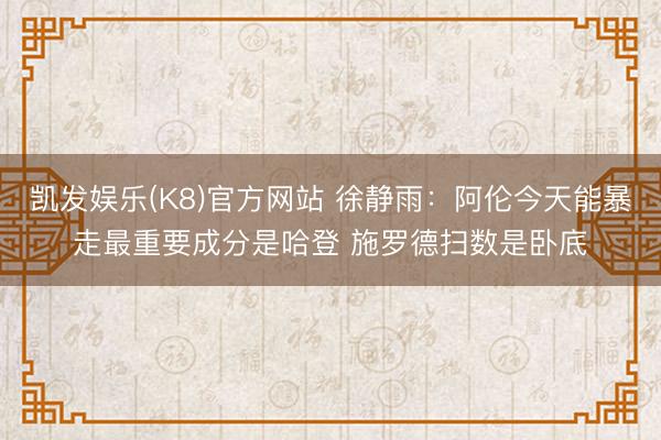 凯发娱乐(K8)官方网站 徐静雨：阿伦今天能暴走最重要成分是哈登 施罗德扫数是卧底