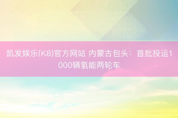 凯发娱乐(K8)官方网站 内蒙古包头：首批投运1000辆氢能两轮车