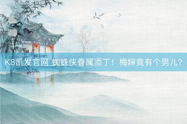 K8凯发官网 蜘蛛侠眷属添丁！梅婶竟有个男儿？