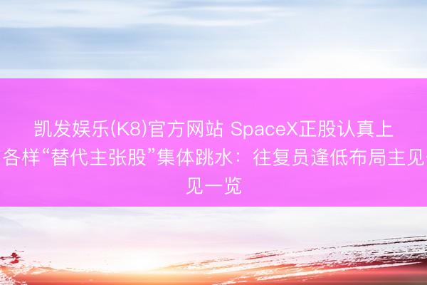 凯发娱乐(K8)官方网站 SpaceX正股认真上市，各样“替代主张股”集体跳水：往复员逢低布局主见一览