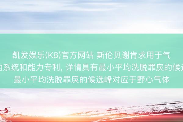 凯发娱乐(K8)官方网站 斯伦贝谢肯求用于气相色谱和混浊检测的系统和能力专利， 详情具有最小平均洗脱罪戾的候选峰对应于野心气体