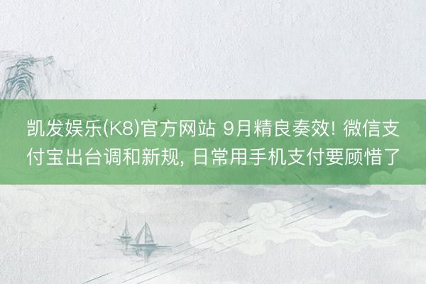 凯发娱乐(K8)官方网站 9月精良奏效! 微信支付宝出台调和新规， 日常用手机支付要顾惜了