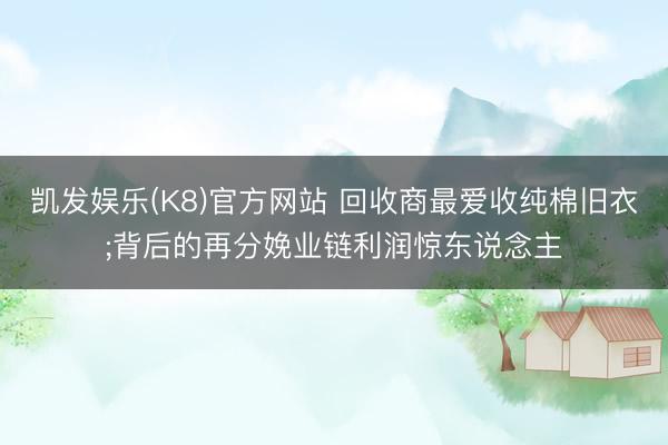 凯发娱乐(K8)官方网站 回收商最爱收纯棉旧衣;背后的再分娩业链利润惊东说念主